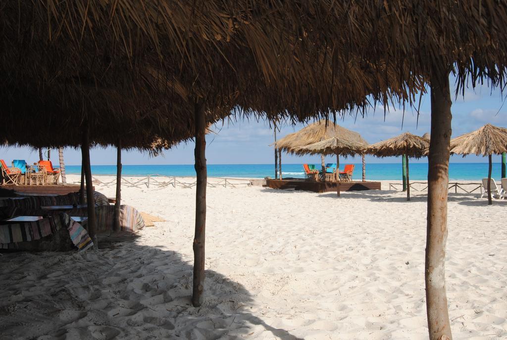 Aida Beach Hotel & Apartments - El-Alamein Eksteriør billede